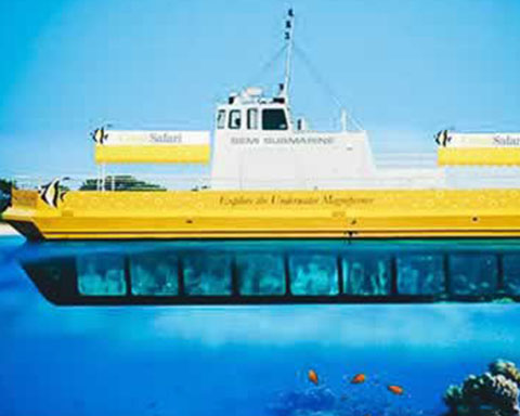 Coral Safari