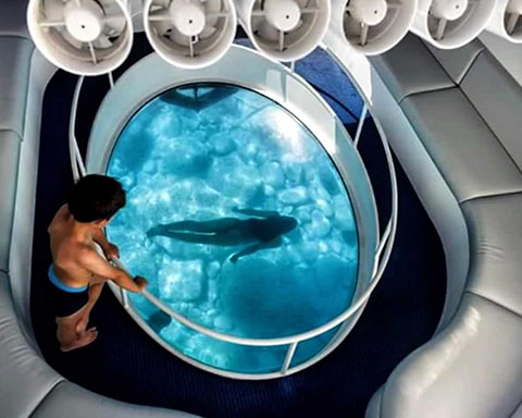 Glass Bottom Boat Ride